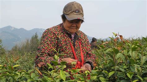 Inside Work The Hidden Exploitation Of Rural Women In Modern China