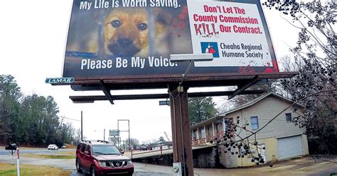 Five Things We Know About The Animal Center Controversy Calhoun