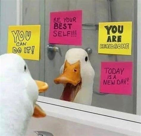 Two Ducks Are Looking At Each Other In Front Of A Mirror With Sticky Notes On It