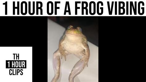 1 Hour Of A Frog Vibing Youtube