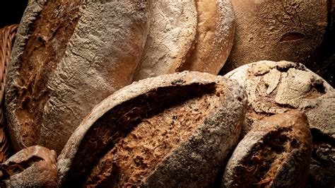 Medieval recipes ancient recipes ancient roman food ancient romans old recipes vintage recipes cheesecake recipes dessert recipes i've been playing around with some ancient roman recipes recently, and wanted to share this one with you. The culinary art of Rome: the delicious homemade bread of Rome and Castelli Romani