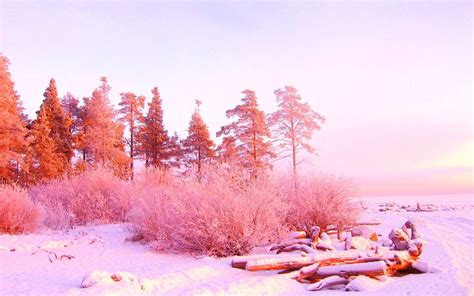 We handpicked the best pink backgrounds for you, free to download! Super pretty pink winterscape | Winter wallpaper, Pink and ...
