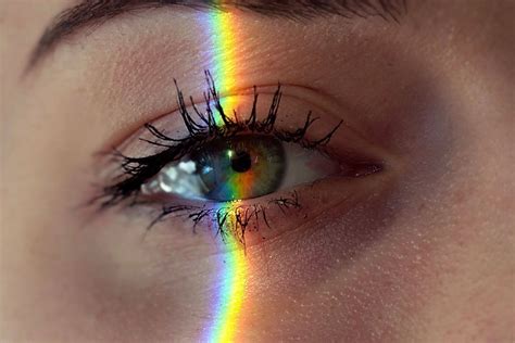 What Color Catches The Eye First The Science Of Vision