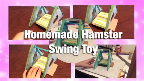 Homemade Hamster Toy Youtube