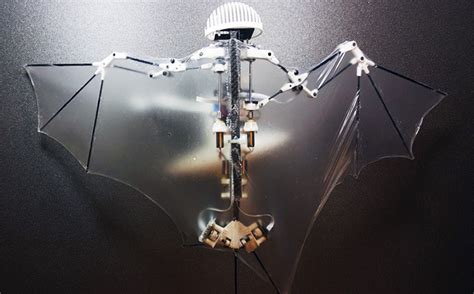 Bat Bot The Bat Inspired Robot Drone