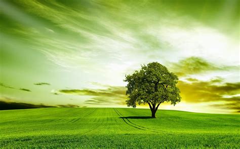 Nature Background Images Hd Sky Sky Wallpapers And Hd Backgrounds