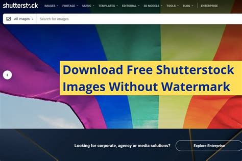 How To Download Free Shutterstock Images Without Watermark