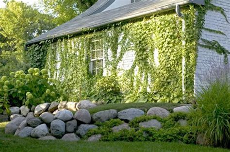 Landscape design guidelines landscape landscape concept implementation natural landscapes made possible by the county of los garden designers and landscape architects can help redesign your garden, or just coach you. Cottage Garden Design Ideas - Landscaping Network