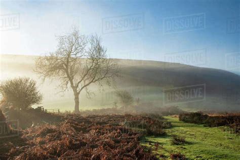 Mid Winter Sunlight And Mist Around Hutton Le Hole Moorland Village In