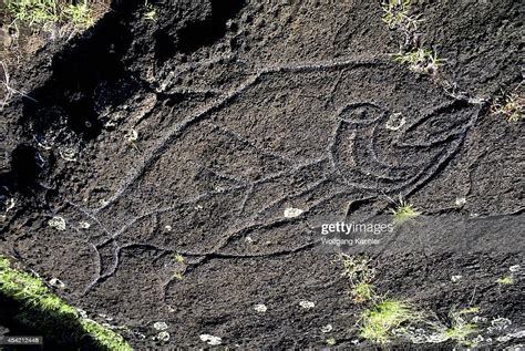 Easter Island Ahu Tongariki Petroglyphs On Lava Rock News Photo