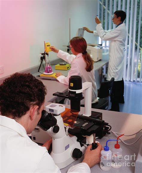 Laboratory Work Photograph By John Mclean Science Photo Library Pixels