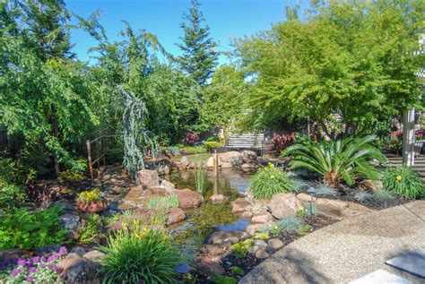 Koi Pond And Waterfall Backyard Executive Care Inc