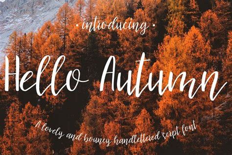 Hello Autumn Script Font By Jimprod On Creativemarket Script Fonts