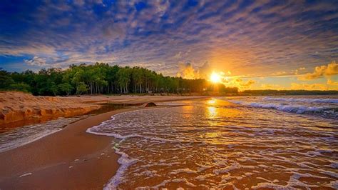 Forest Beach Wallpapers Top Free Forest Beach Backgrounds Wallpaperaccess