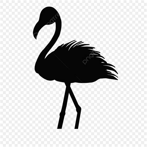 Actions Silhouette Transparent Background Flamingo Silhouette Walking