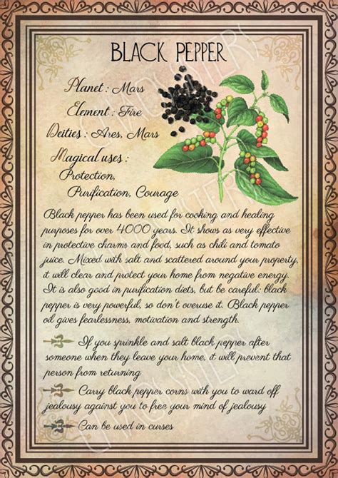 Printable Herbs Book Of Shadows Pages Set 3 Herbs And Plants Etsy Wicca