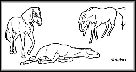 Coloring pages, color plate, coloring sheet, printable. Pictures Of Spirit The Horse - Coloring Home