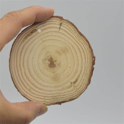 Wood Log Slice Pre Drilled Hole 20 Count 6cm 7cm 8cm Etsy