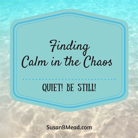 Finding Calm In The Chaos Susanbmead
