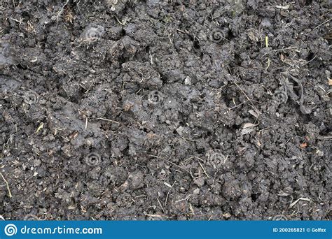 Close Up Dark Soil Texture Background For Plantation Soil Prepared For