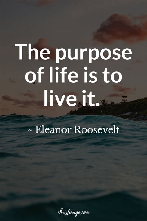 Why I Dont Recommend Looking For Your Life Purpose Life Purpose Quotes Roosevelt Quotes