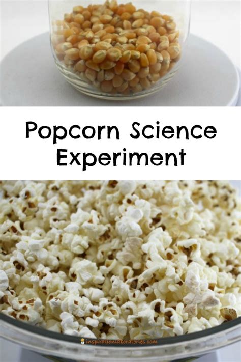 Popcorn Science Experiment Inspiration Laboratories