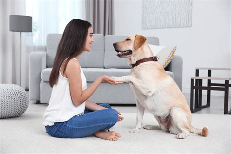 4 Health Benefits Of Having A Dog Kayla Itsines
