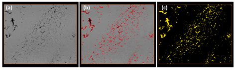 Minerals Free Full Text Nano Tomography Of Porous Geological