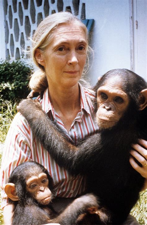 why jane goodall s life story is the feminist documentary we ve all been waiting for