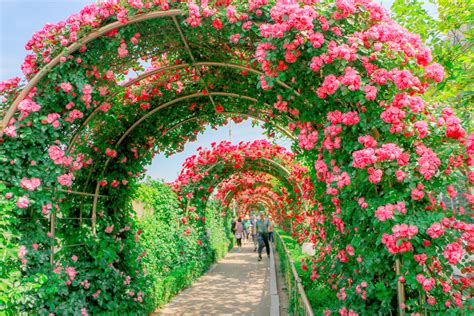 #김경숙해바라기농장 #해바라기 #제주여행#가을제주 #전주달콤수채화#전주성인미술 #달콤그림#전주취미#전주취미미술#. "놓치지 말자"…봄부터 겨울까지 인생 사진 남길 수 있는 전국 ...