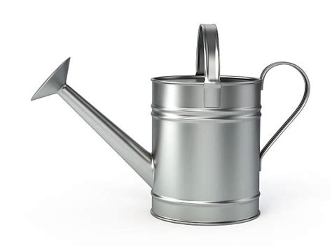Royalty Free Watering Can Pictures Images And Stock Photos Istock