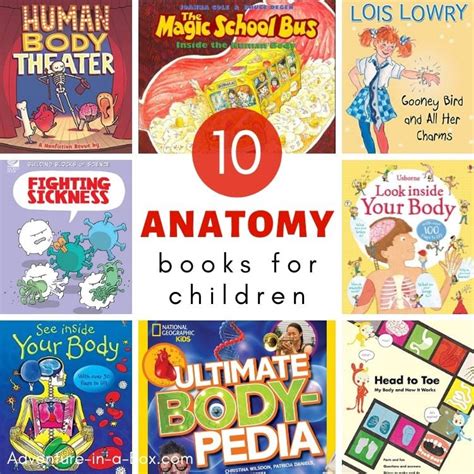 Anatomy Books For Kids