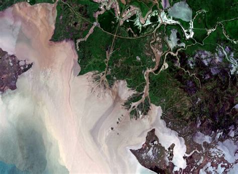 Satellite Image Of Louisiana Usa From Sentinel 2 Eos Gallery