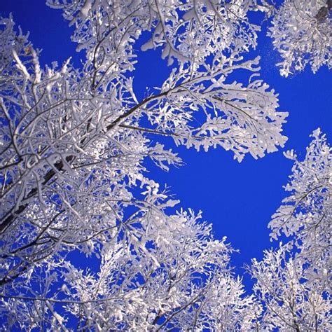 10 Latest Free Winter Scene Screensavers Full Hd 1920×1080 For Pc