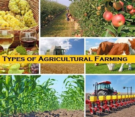 Basic 7 Types Of Agricultural Farming With Pros And Cons Basic