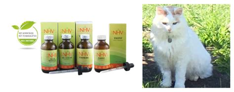 Blog Nhv Natural Pet Products