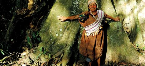 Indigene Völker Im Regenwald Abenteuer Regenwald