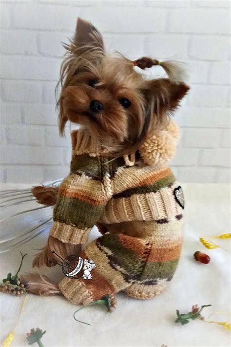 Pet Sweater Costume For Small Dog By Lyudmilahandmade Dog Coat Clothes