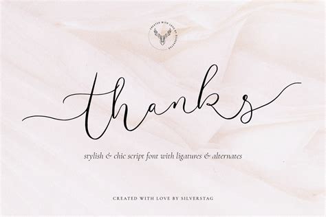 Amelie Chic And Elegant Script Font On Yellow Images Creative Store