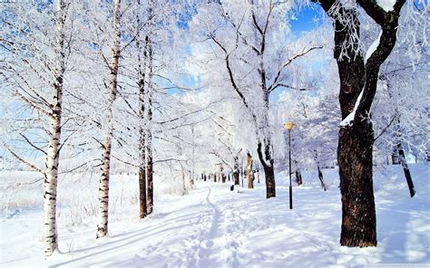 Winter Wonderland Desktop Wallpapers Top Những Hình Ảnh Đẹp