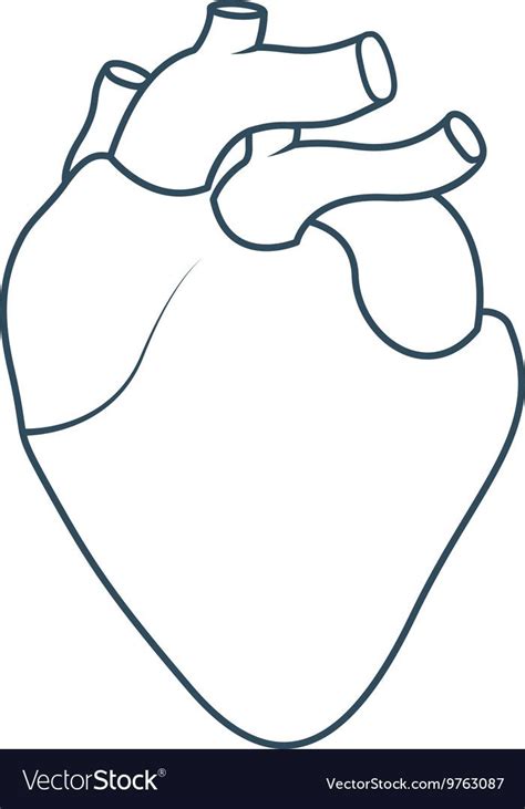 Human Heart Anatomy Isolated Icon Design Vector Illustration Graphic