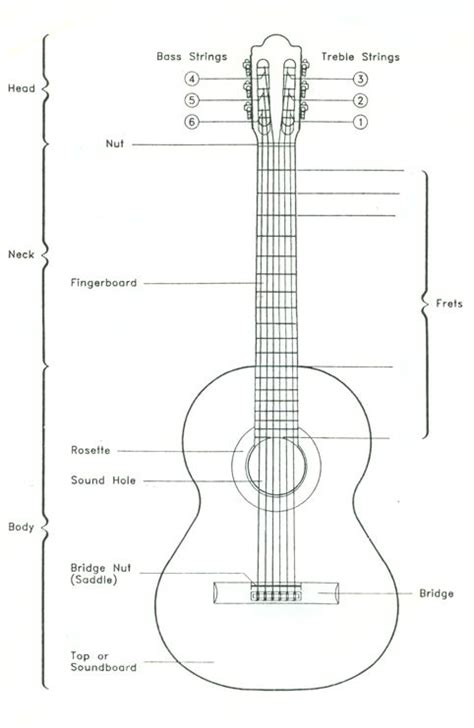 Parts Of A Guitar Electric Guitar Chords Guitar Electric Guitar