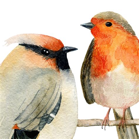 Watercolor Birds Clipart 188818 Illustrations Design Bundles