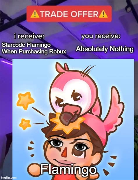 Use Starcode Flamingo When Purchasing Robux Imgflip
