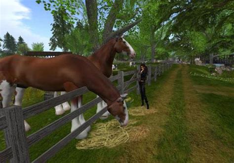 Own A Ranch In Second Life Play Horse Games Free Online Horse Games