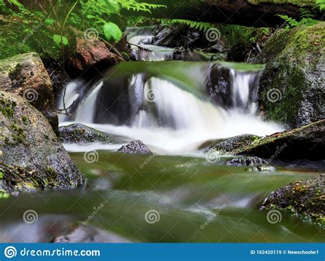 Forest River Stream Water Slowly Flow Mossy River Stream Rocks Mossy