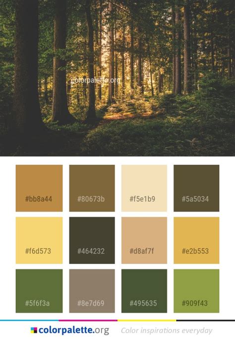 Forest Woodland Nature Color Palette