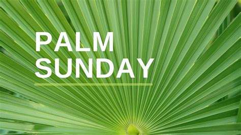 Palm Sunday March 28 2021 Truro Anglican Church Youtube