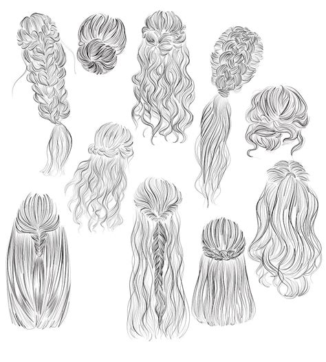 Hairstyles Vector Illustrations 2 Hair Vector Ponytail Drawing Hair