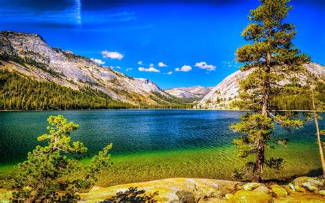 Nature Landscape Lake Mountains Forest Summer Trees